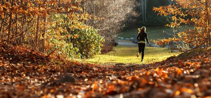 Im Herbst schön fit bleiben: So geht’s!